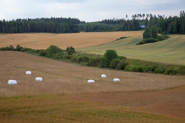 Free download landscape agriculture countryside free picture to be edited with GIMP free online image editor