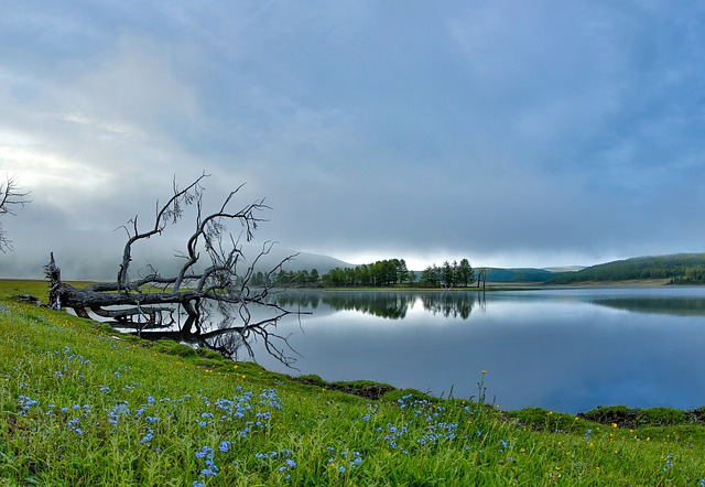 Free download landscape a small lake spring free picture to be edited with GIMP free online image editor