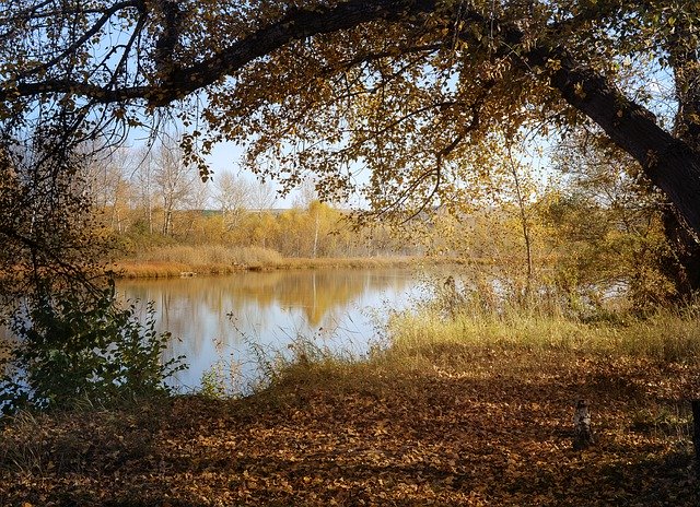 Free download Landscape Autumn Trail -  free photo or picture to be edited with GIMP online image editor