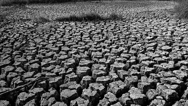 Free download Landscape Black And White Earth No -  free photo or picture to be edited with GIMP online image editor