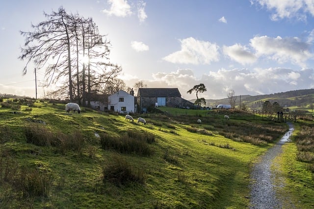 Free download landscape countryside sheep house free picture to be edited with GIMP free online image editor