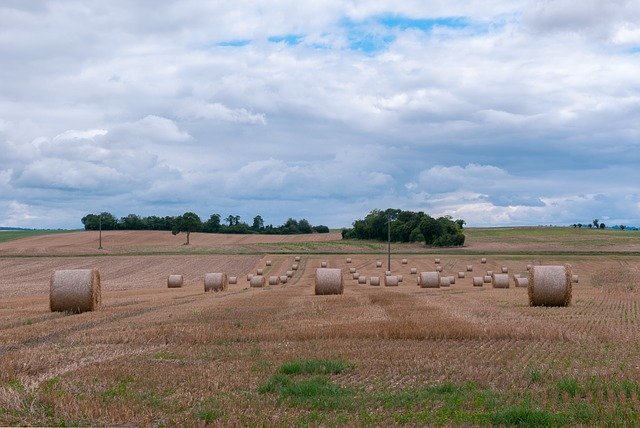 Free download Landscape Field France -  free photo or picture to be edited with GIMP online image editor