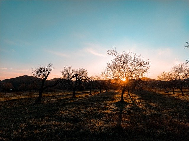 Free download Landscape Field Sunset -  free free photo or picture to be edited with GIMP online image editor