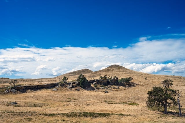 Free download landscape grass dry hill sky free picture to be edited with GIMP free online image editor