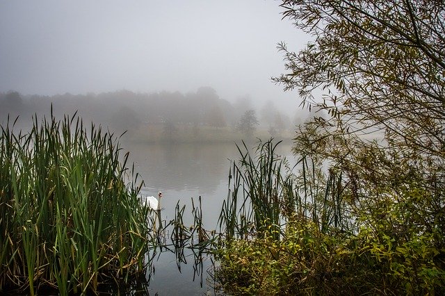 Free download Landscape Misty Lake -  free photo or picture to be edited with GIMP online image editor