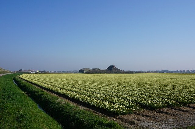 Free download Landscape North Of The Netherlands -  free photo or picture to be edited with GIMP online image editor