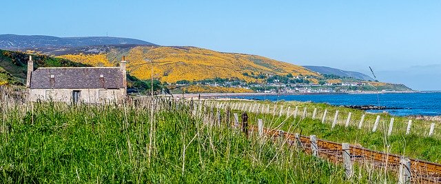 Free download Landscape Sea Gorse -  free photo or picture to be edited with GIMP online image editor