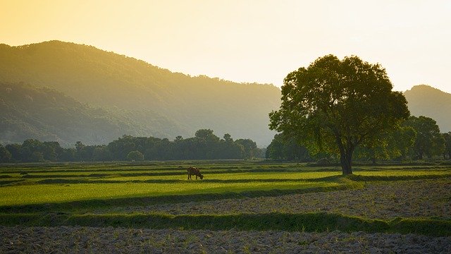 Free download Landscapes Mountains Portrait -  free photo or picture to be edited with GIMP online image editor