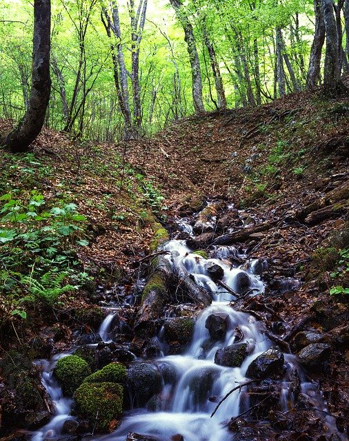 Free download Landscape Spring Water Clean -  free photo or picture to be edited with GIMP online image editor