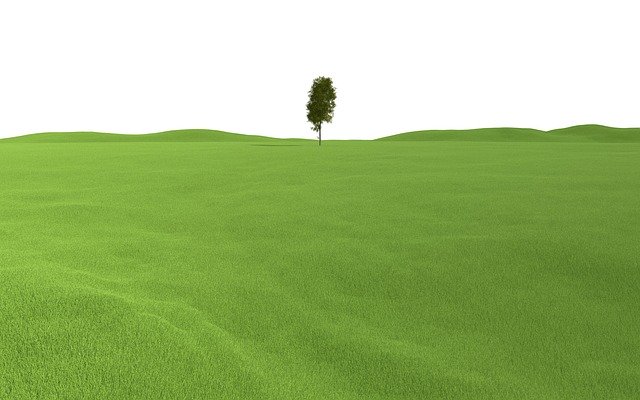 Free download Landscape Tree Grass -  free illustration to be edited with GIMP free online image editor