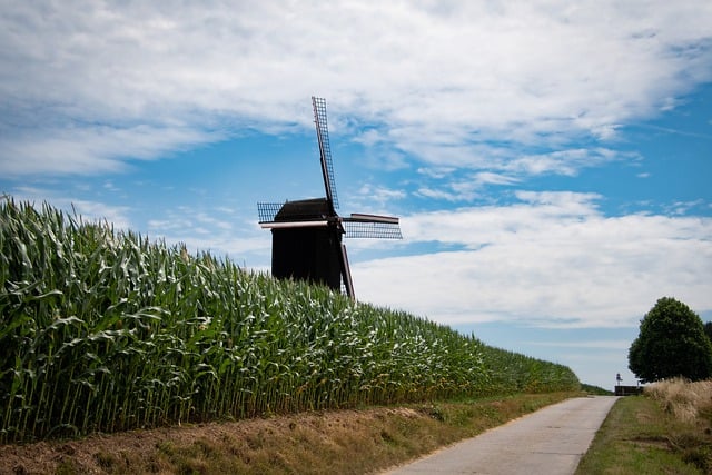 Free download landscape windmill wooden windmill free picture to be edited with GIMP free online image editor