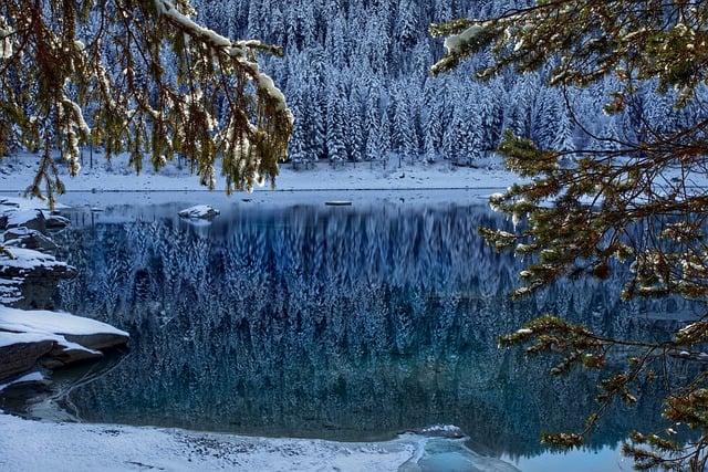 Free download landscape winter snow forest lake free picture to be edited with GIMP free online image editor