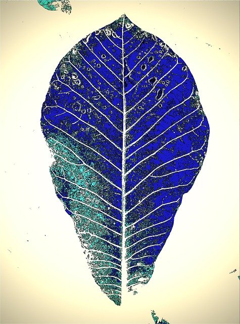 Free download Leaf Blue -  free illustration to be edited with GIMP free online image editor