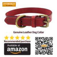 Free download leather dog collar free photo or picture to be edited with GIMP online image editor