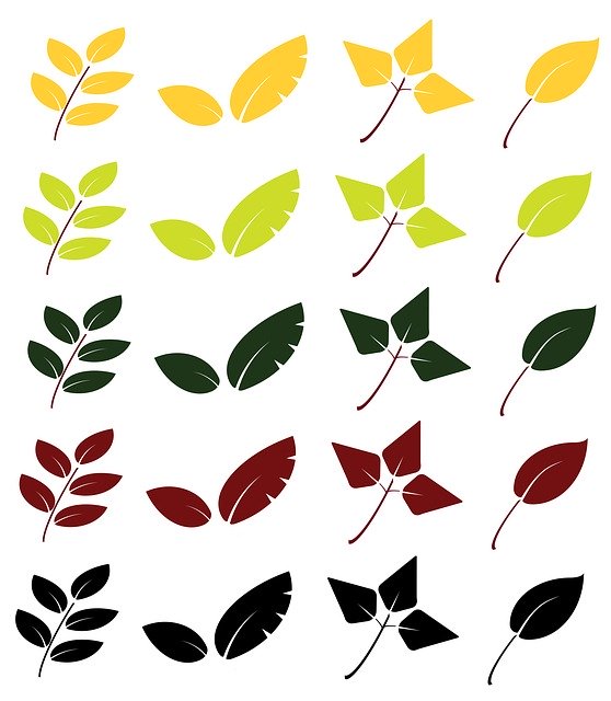 Free download Leaves Graphics Fall -  free illustration to be edited with GIMP free online image editor