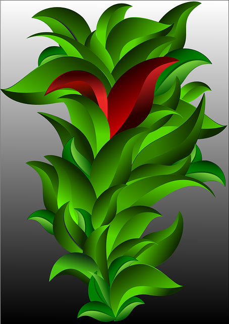 Free download Leaves Plant Vegetables - Free vector graphic on Pixabay free illustration to be edited with GIMP free online image editor