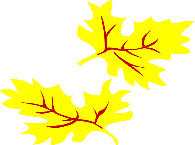 Free download Leaves Yellow Fall - Free vector graphic on Pixabay free illustration to be edited with GIMP free online image editor