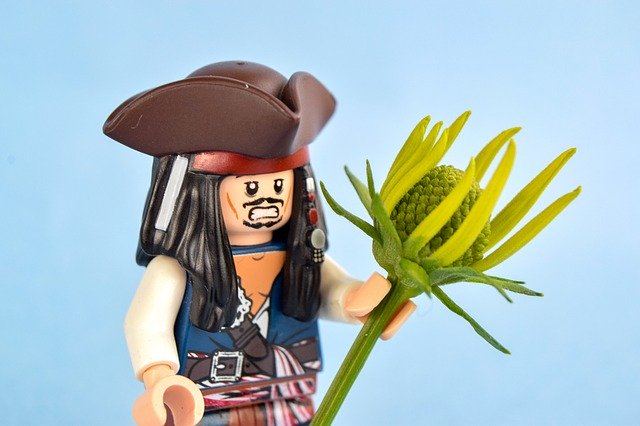 Free download Lego Pirate Flower -  free photo or picture to be edited with GIMP online image editor