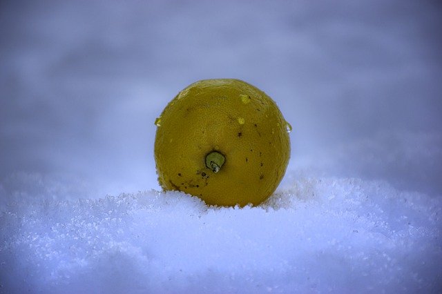 Free download lemon snow vitamins health fresh free picture to be edited with GIMP free online image editor