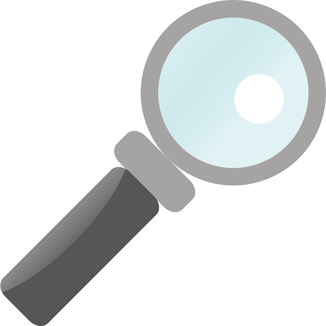 Free download Lens Magnifying Glass - Free vector graphic on Pixabay free illustration to be edited with GIMP free online image editor