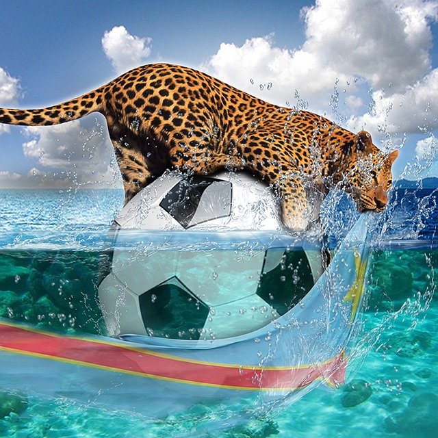 Free download Leopard Rdc Soccer -  free illustration to be edited with GIMP free online image editor