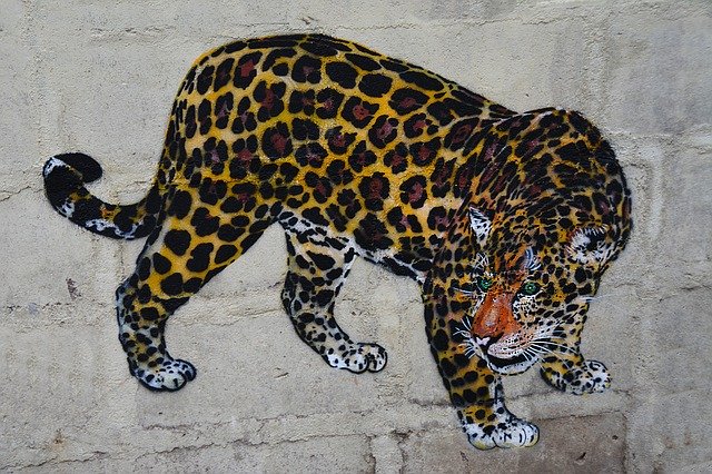 Free download Leopard Wall Art Graffiti -  free illustration to be edited with GIMP free online image editor