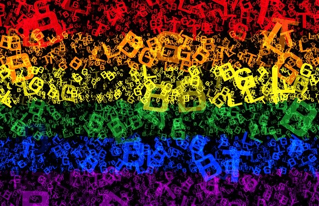 Áo Phông Thun Pede Gay Les Cộng Đồng LGBT Nam Nữ Cotton Unisex In Hình Trái