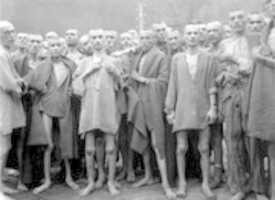 Free download Liberation of the Concentration Camps free photo or picture to be edited with GIMP online image editor