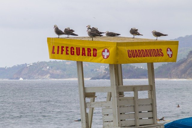 Free download Life Guard Seagulls Beach -  free photo or picture to be edited with GIMP online image editor