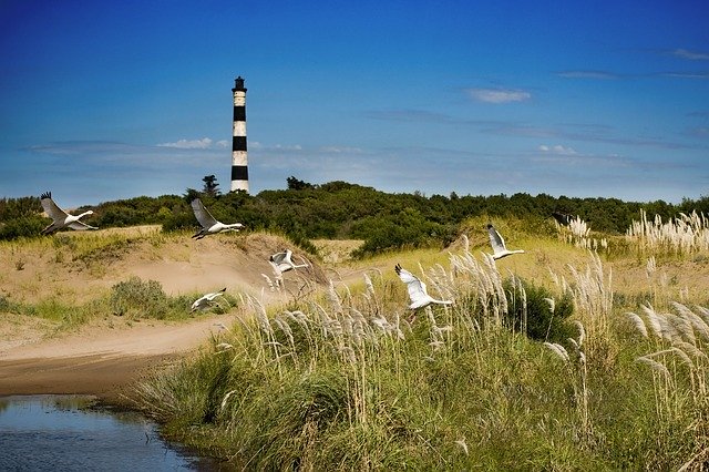 Free download Lighthouse Coscoroba Landscape -  free photo or picture to be edited with GIMP online image editor