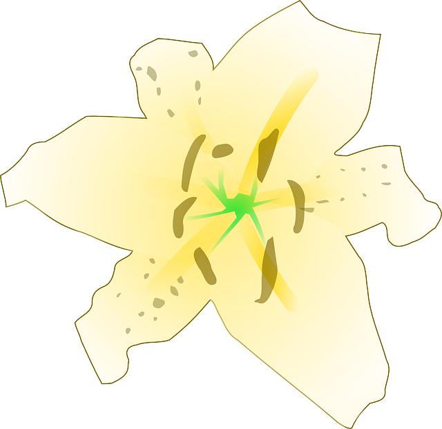 Free download Lily Flower Yellow - Free vector graphic on Pixabay free illustration to be edited with GIMP free online image editor