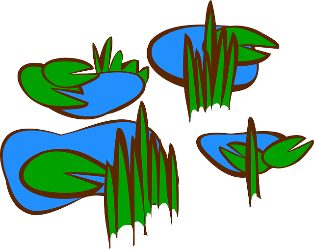 Free download Lily Pads Swamp Marsh - Free vector graphic on Pixabay free illustration to be edited with GIMP free online image editor