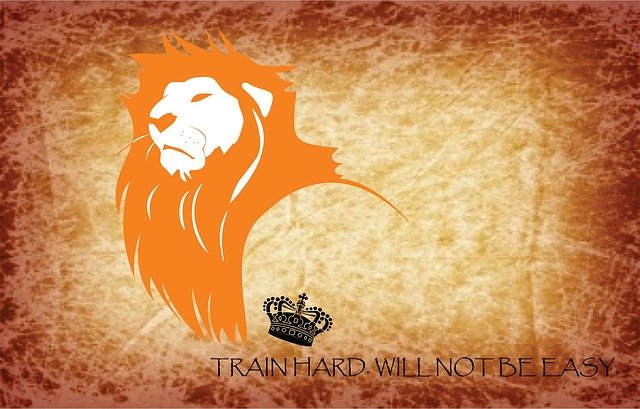 Free download Lion Bike Train Hard -  free illustration to be edited with GIMP free online image editor