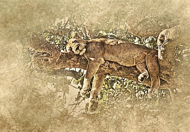 Free download Lioness Tree Art -  free illustration to be edited with GIMP free online image editor