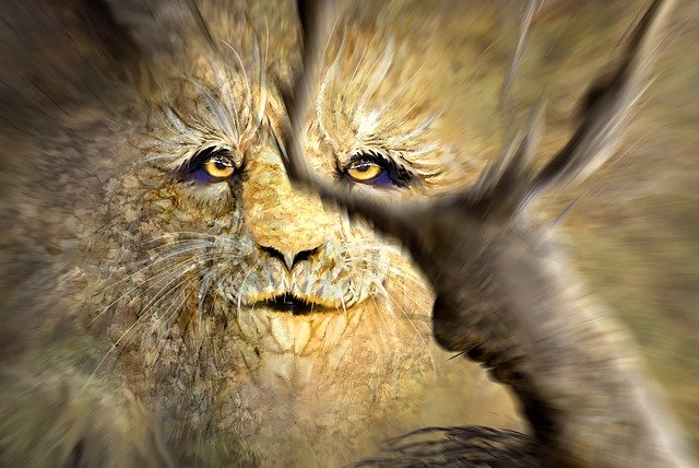 Free download Lion Fear Vision -  free illustration to be edited with GIMP free online image editor