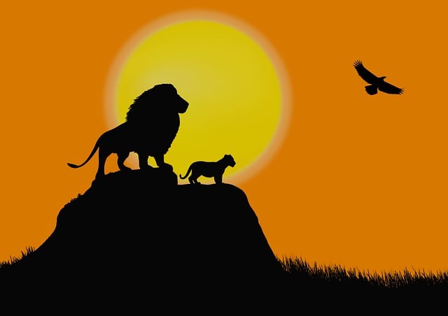 Free download lion lion king simba father and son free picture to be edited with GIMP free online image editor