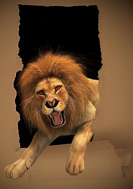 Free download Lion Roar Frame -  free illustration to be edited with GIMP free online image editor