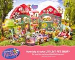 Free download Littlest Pet Shop Wallpaper Archive free photo or picture to be edited with GIMP online image editor