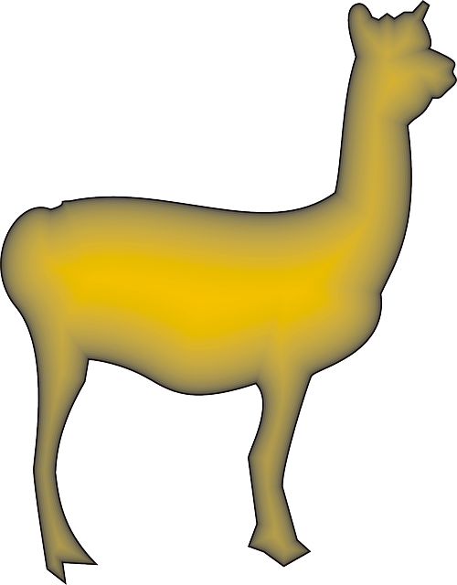 Free download Llama Animal Camelid South - Free vector graphic on Pixabay free illustration to be edited with GIMP free online image editor