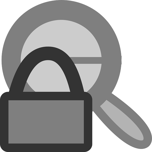 Free download Lock Action View - Free vector graphic on Pixabay free illustration to be edited with GIMP free online image editor