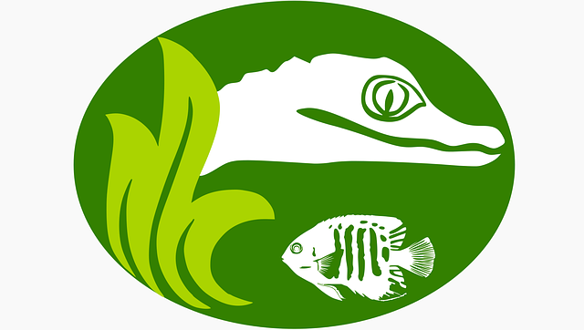 Free download Logo Jacare Fish - Free vector graphic on Pixabay free illustration to be edited with GIMP free online image editor