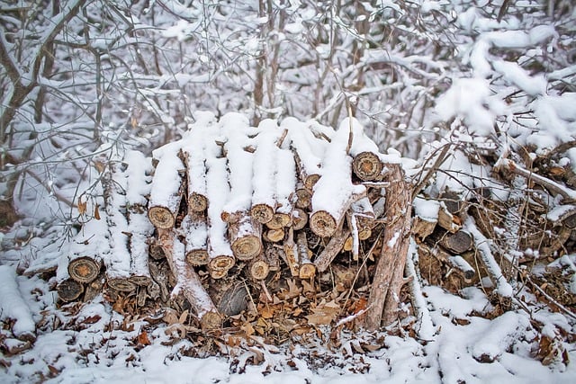 Free download logs woodpile wood pile snow cold free picture to be edited with GIMP free online image editor