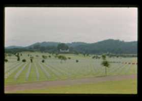 Free download Lorraine American Cemetery and Memorial (Mag 4 Slide 36) free photo or picture to be edited with GIMP online image editor