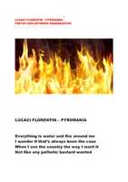 Free download LUCACI FLORENTIN - PYROMANIA free photo or picture to be edited with GIMP online image editor