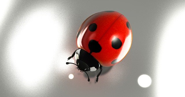 Free download Luck Lucky Ladybug 2017 Good -  free illustration to be edited with GIMP free online image editor