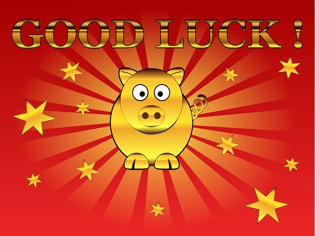 Free download Lucky Pig Congratulations Greeting -  free illustration to be edited with GIMP free online image editor