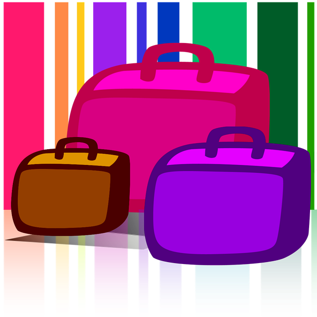 Free download Luggage Bags Baggage -  free illustration to be edited with GIMP free online image editor