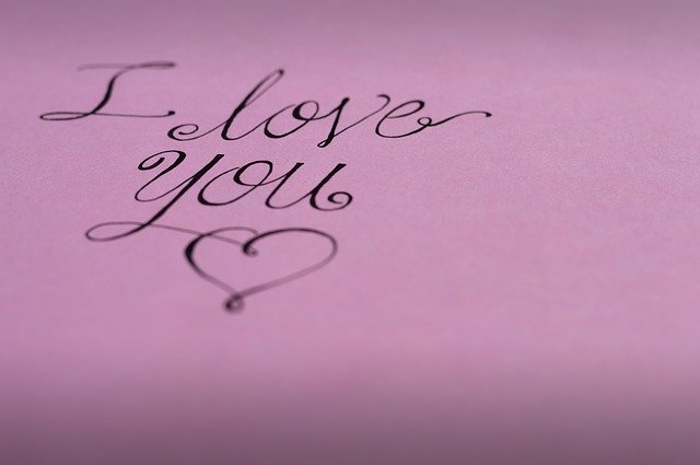 Free download Lyrics February Rosa free photo template to be edited with GIMP online image editor