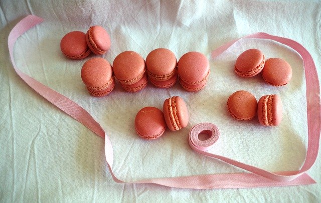 Free download Macaron Pink Rosa -  free free photo or picture to be edited with GIMP online image editor