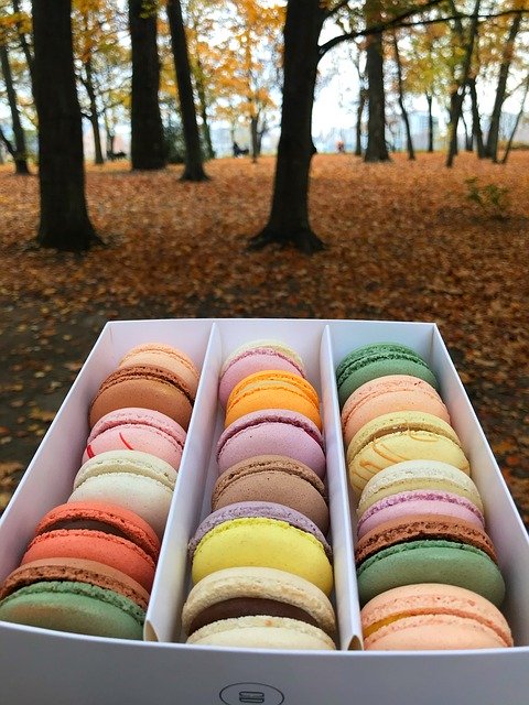 Free download Macaroons Colors -  free photo or picture to be edited with GIMP online image editor